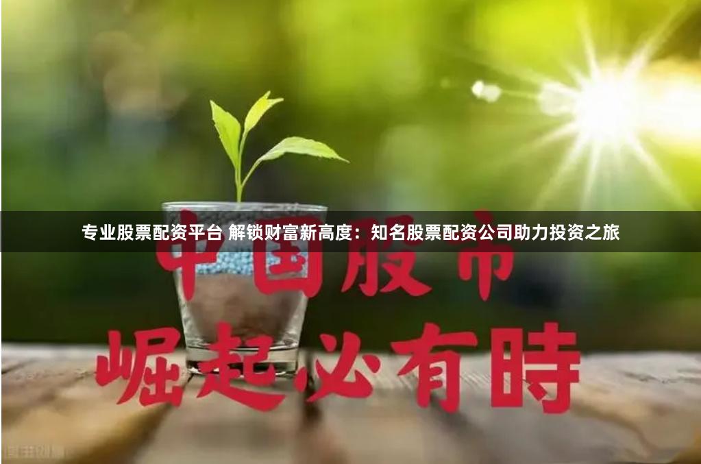 专业股票配资平台 解锁财富新高度：知名股票配资公司助力投资之旅